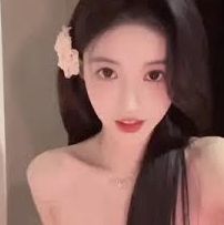 精选介绍资料包